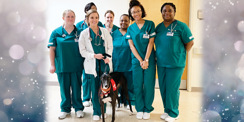 Medical team with therapy dog in hospital.