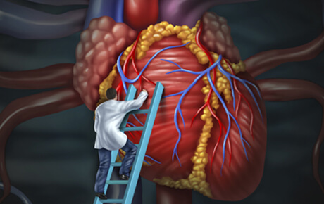 Illustration of person examining an oversized human heart.
